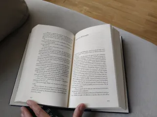 Esperando al diluvio