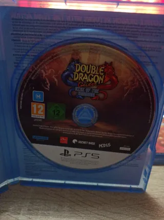 Double Dragon Gaider PS5