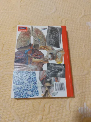 Anatomia 4b* Ed. - Estructura y Morfologia del ...