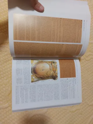 Anatomia 4b* Ed. - Estructura y Morfologia del ...