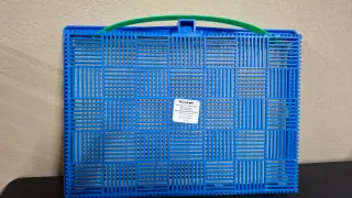 Juego de clavijas de colores