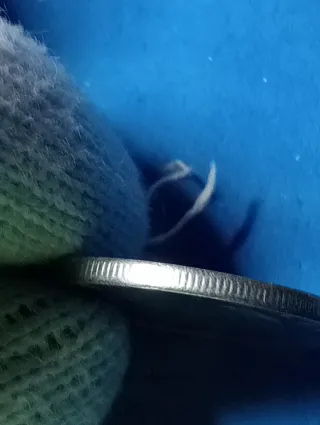 Moneta 50 Lire 1958 NC non comune