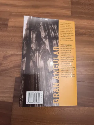 La catedral (Gran Angular)