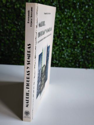 Madrid, figuras y sombras de los teatros de tít...