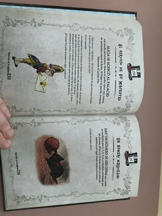 El libro de los enigmas del País de las Maravil...