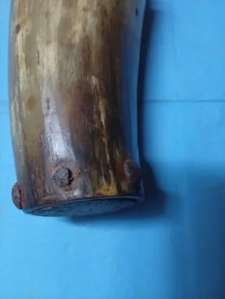 Vaso de cuerno antiguo