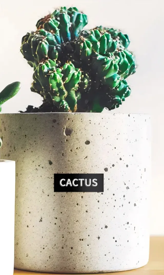 Etiquetadora manual con recambios