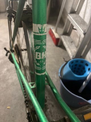 Bicicleta Clásica Verde