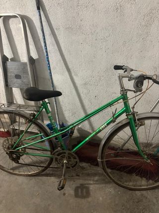 Bicicleta Clásica Verde