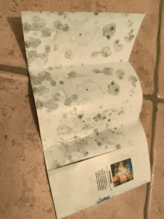 Mangas dragón ball super