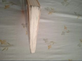 El misterio de los hijos de Lúa (El barco de va...