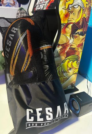 Guantes de boxeo Cesar con funda