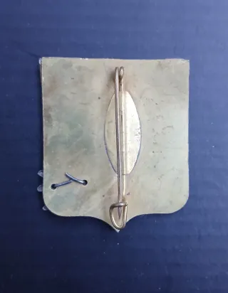 Pin Baqueira Vall d'Aran Esquí