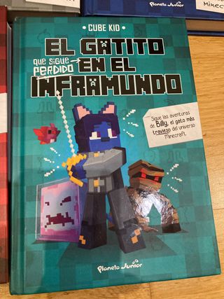 Lote libros Diario de un aldeano