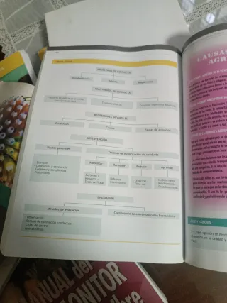 Desarrollo Socioafectivo 2014