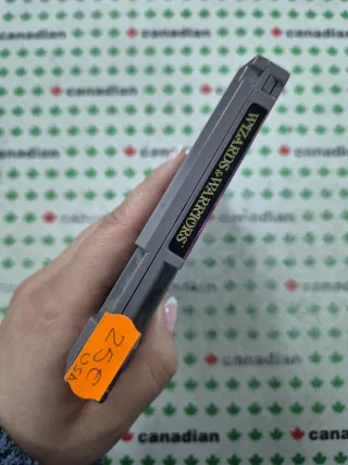 Wizards & Warriors NES