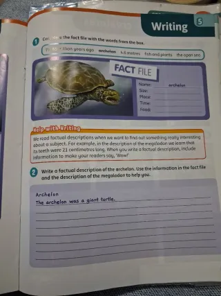 Super Minds Level 3 Workbook with Digital Pack ...