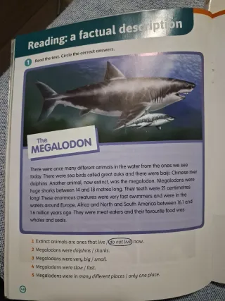 Super Minds Level 3 Workbook with Digital Pack ...