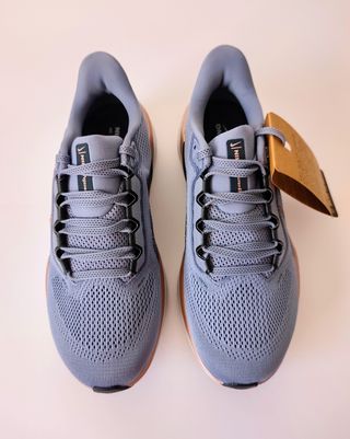 38 - Nike Air Zoom Pegasus 41 - Ashen Slate