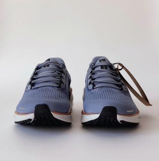 38 - Nike Air Zoom Pegasus 41 - Ashen Slate