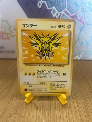 Raichu y zapdos pack