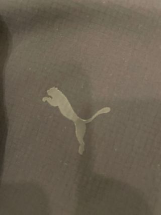 Chándal Puma Aston Martin Aramco Gris/Verde