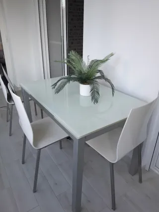 Mesa cristal y metal extensible