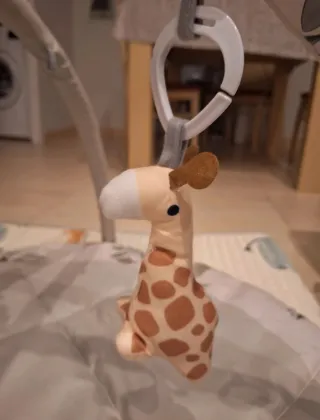 Gimnasio actividades bebé