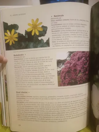 Libro de jardineria