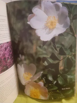 Libro de jardineria
