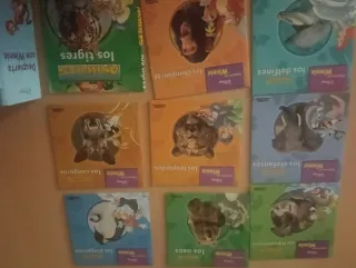 Colección Despierta con Winnie