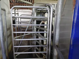 Robot de ordeño DeLaval