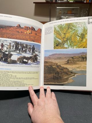 Enciclopedias tematica oceano - conjunto 2 euros