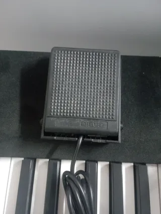 Casio CDP-120 Piano Digital