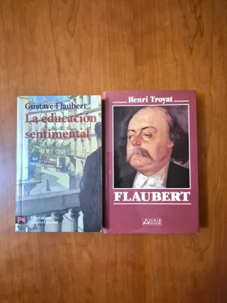 Flaubert La educacion sentimental. Biografia