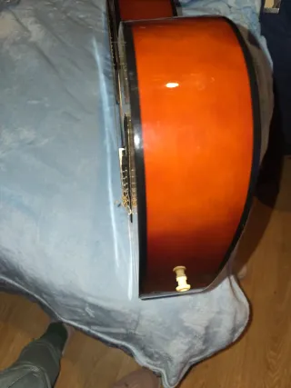 Guitarra Rocio M. C16