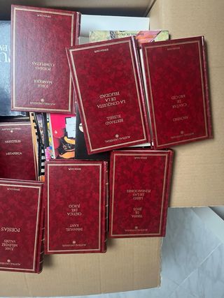 Colección libros poesia y literatura