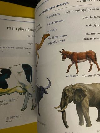 Els llibres de la Nur Téeréy Nur : [català-wòlof]