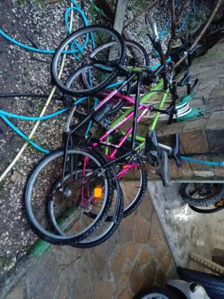 Bicicletas varias