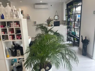 Traspaso peluqueria, en perfecto estado