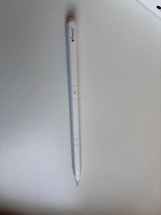 Apple Pencil A2051 usado