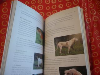 LA CAZA DEL JABALI ( PASCAL DURANTEL ) GUIA TIKAL