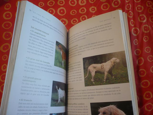 LA CAZA DEL JABALI ( PASCAL DURANTEL ) GUIA TIKAL