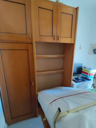 Armario con cama extraíble