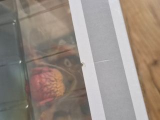 Funko Pop! Albus Dumbledore c/ Fawkes 187 Deluxe