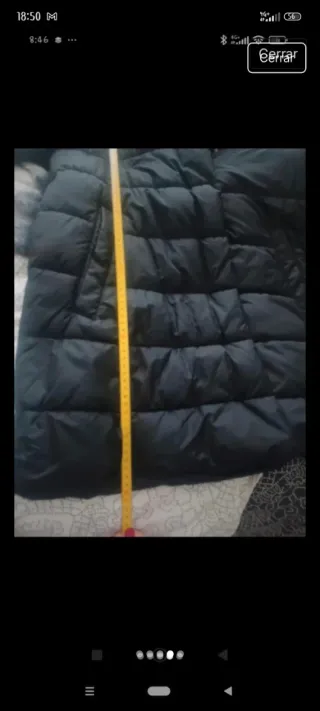 Chaqueta larga The North Face negra