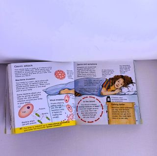 The Usborne Pocket Scientist The Blue Book English