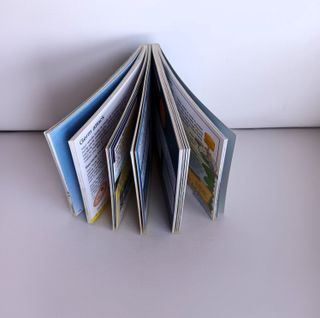 The Usborne Pocket Scientist The Blue Book English