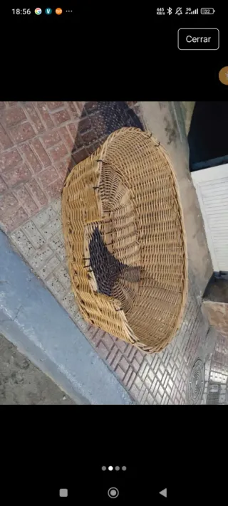 Cama Mimbre Perro Mediano