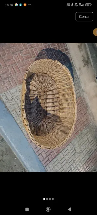 Cama Mimbre Perro Mediano